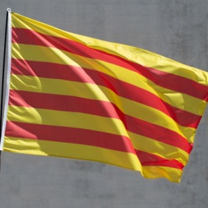 Drapeau publicitaire sublimé 150x225cm