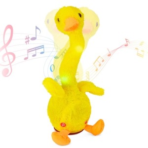 Canard danseur