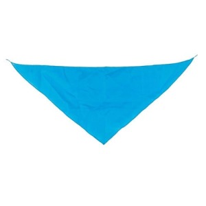 Fanion triangulaire feria