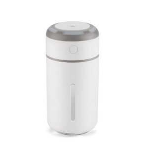 Humidificateur personnalisable d'air