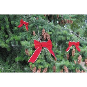 Nœud velours rouge et or taille S