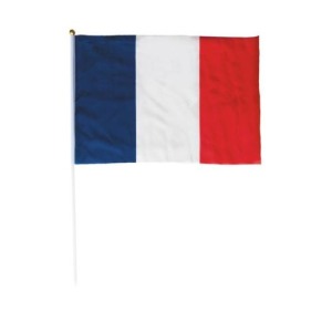 Drapeaux personnalisables France 30x45cm