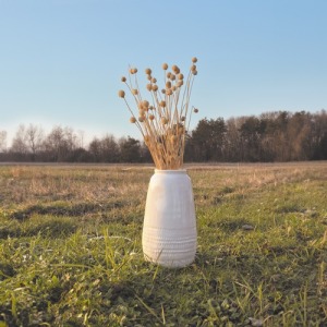 BOUQUET promotionnel DE CHARDONS SECHES