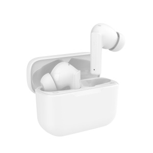 Écouteurs publicitaires à réduction de bruit ANC sans fil Bluetooth