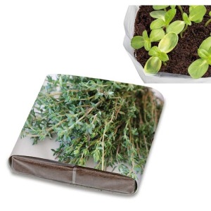 Set de plantation publicitaire Pop-up - Thym