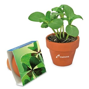 Pot en terre cuite - terre cuite - Bulbes de trèfle à 4 feuilles promotionnel