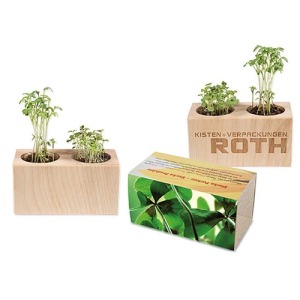 Pot bois 2 compartiments - Bulbes de trèfle à 4 feuilles personnalisable