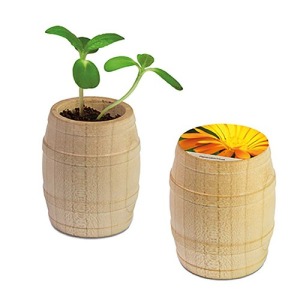 Mini-tonneau en bois personnalisable - Souci