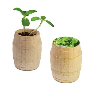 Mini-tonneau en bois publicitaire - Basilic