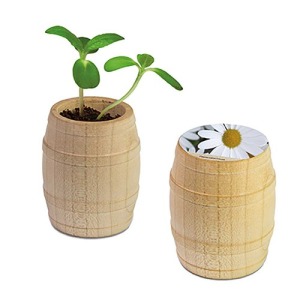 Mini-tonneau en bois - Marguerite
