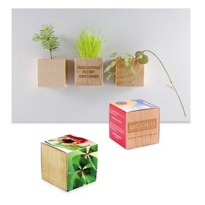 Pot cube bois mini avec aimant - Bulbes de trèfle à 4 feuilles publicitaire