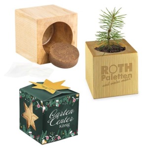Pot cube boisde bureau en boite star-box - Epicéa publicitaire