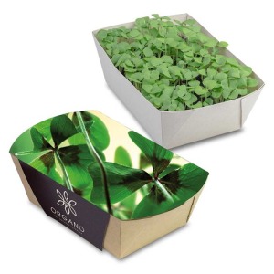 Jardinière en papier bambou - Bulbes de trèfle à 4 feuilles personnalisable