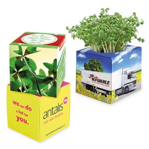 Cube à planter 2.0 - Bulbes de trèfle à 4 feuilles personnalisé