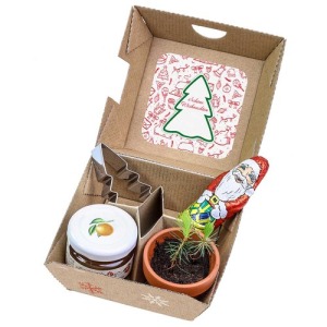 Coffret cadeau de Noël standard