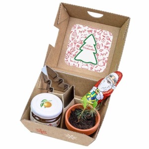 Coffret cadeau de Noël standard