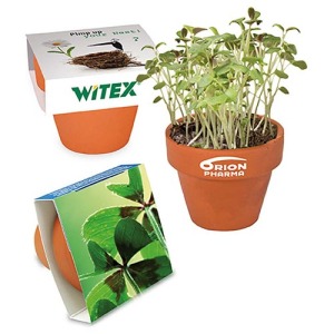 Mini pot terre cuite, fourreau chapeau - Bulbes de trèfle à 4 feuilles personnalisé