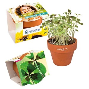 Mini pot terre cuite, fourreau complet- Bulbes de trèfle à 4 feuilles personnalisable