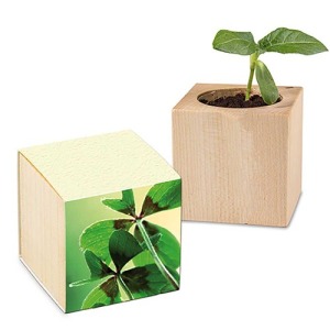 Pot cube - Bulbes de trèfle à 4 feuilles personnalisé