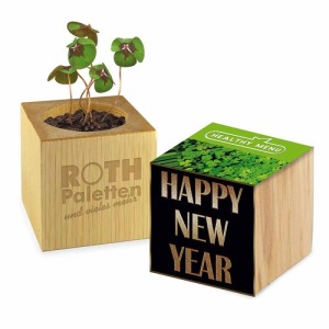 Pot cube bois Mini - Trèfle à 4 feuilles publicitaire - sans gravure laser