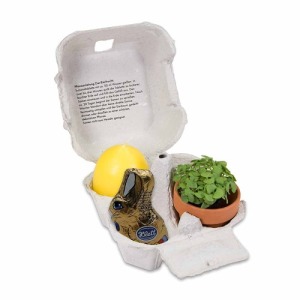 Le plaisir en boîte - avec set de plantation mini-pot en terre cuite, bougie publicitaire ?uf, lapin en chocolat