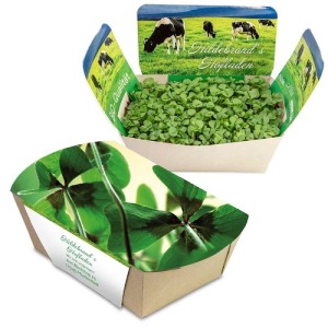 Jardinodrome avec graines - Bulbes de trèfle à 4 feuilles personnalisable