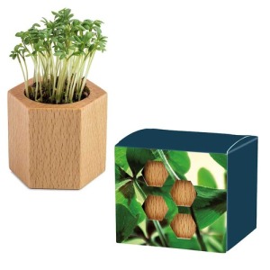 Pot cube Hexagon avec graines - Bulbes de trèfle à 4 feuilles personnalisable