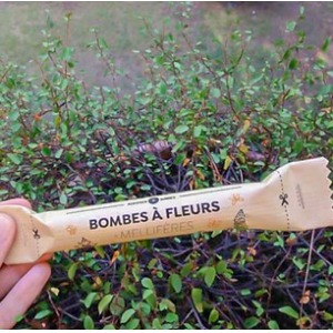 Tube de bombes à graines kraft