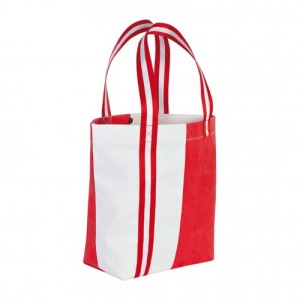 Sac de plage 42x34x15cm
