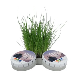 Boîte à graines clic-clac