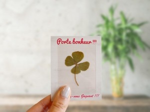 Carte trèfle porte bonheur