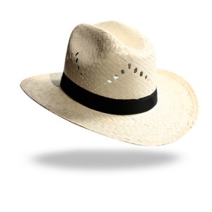 Chapeau paille avec logo blanche STETSONS