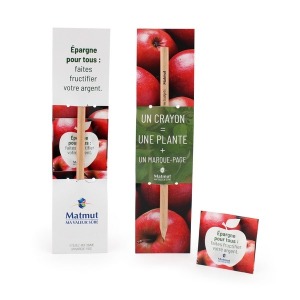 Crayon papier neutre avec étui + sachet de graines quadri