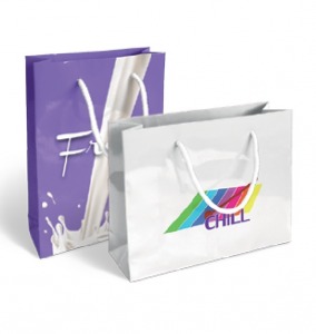 Petit sac en papier luxe 18x23x8cm