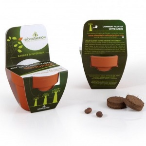 Pot en terre cuite 70mm avec graines à faire pousser modèle avec fronton