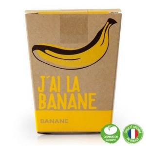Pot message "J'ai la super banane" avec bananier à semer