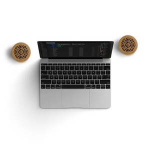 Set de 2 enceintes Woodstock