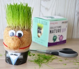 Tête en herbe - cube quadri