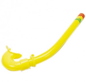 Tuba promotionnel anatomique