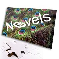 Puzzle 54 pièces avec boîte