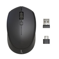 Souris sans fil double dongle Souris sans fil double dongle