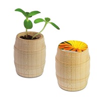 Mini-tonneau en bois - Souci