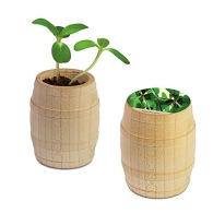 Mini-tonneau en bois - Bulbes de trèfle à 4 feuilles Mini-tonneau en bois - Bulbes de trèfle à 4 feuilles