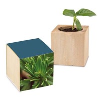 Pot cube bois Mini de Noël - Epicéa - Epicéa