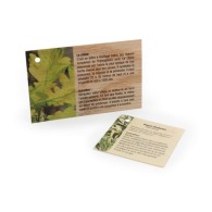 Carte bois Carte bois