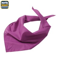 Bandana triangle picture