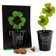 Kit de plantation personnalisé black - Trèfle 4 feuilles