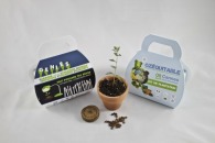 Mallette kit de plantation