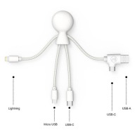 Câble de charge personnalisé multi-connecteurs Double entrée Type-C & USB