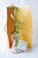 Plant d'arbre personnalisable en tube bois